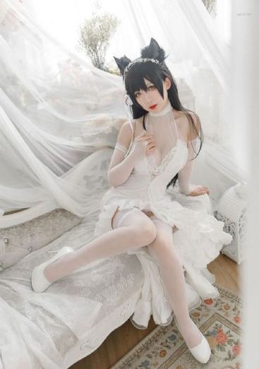 上阵父子兵短剧免费观看