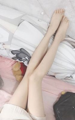 翡翠波斯猫